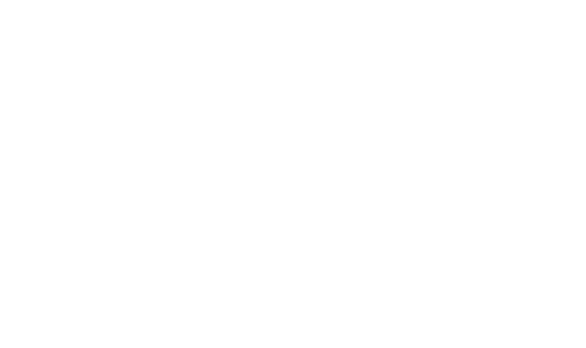 apl logistics logo in white