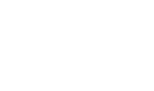 apl logistics logo in white